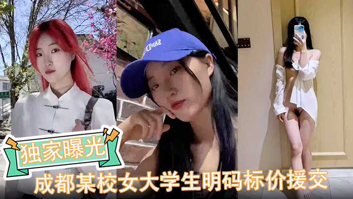 成都校花明码标价援交 金主爆操内射完整版流出
