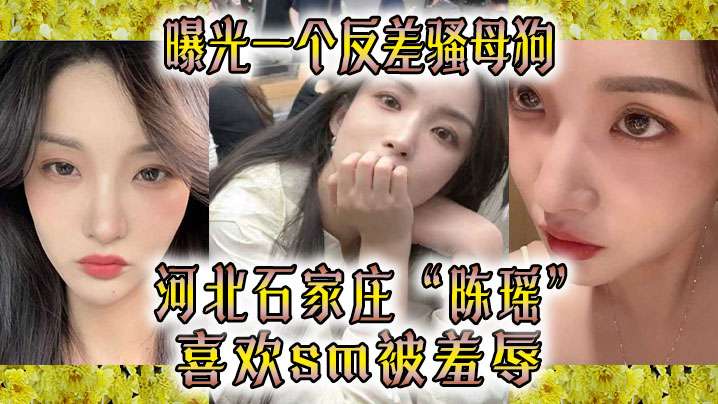 反差骚母狗！河北石家庄人妻极品调教，爆操羞辱内射